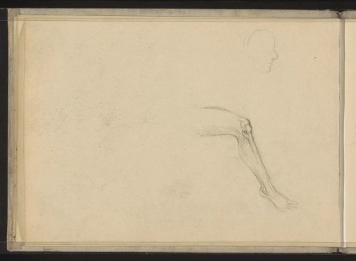 Knee with a Lower Leg and a Head
