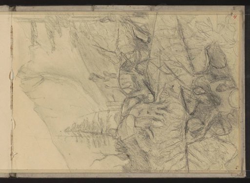 Mountain Landscape with Loose Branches and Tree Trunks