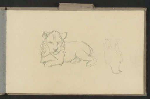 Reclining animal, possibly a lion