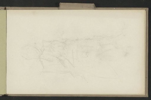 Seated woman reading