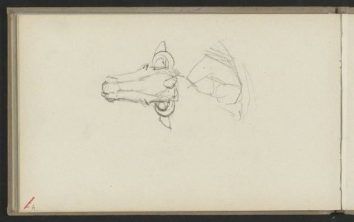 Head of a cow