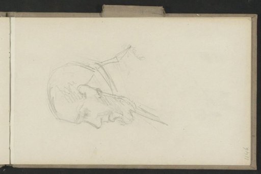 Head of a bearded man