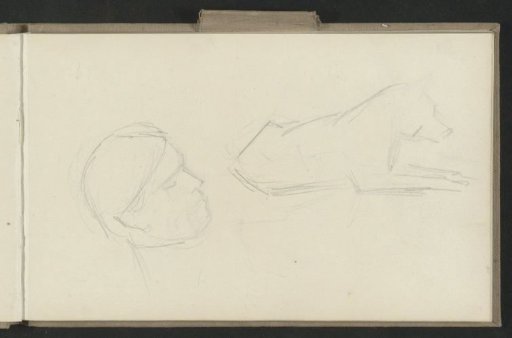 Head and a lying dog