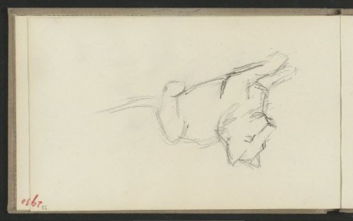 Reclining dog