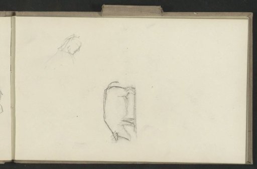Man's head and a pig