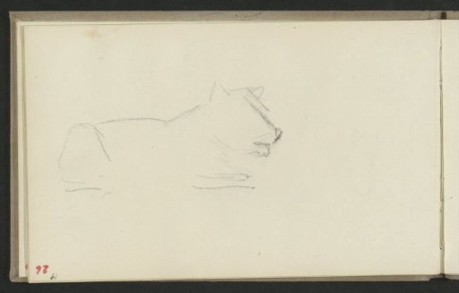 Reclining animal