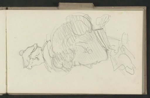 Two women's heads
