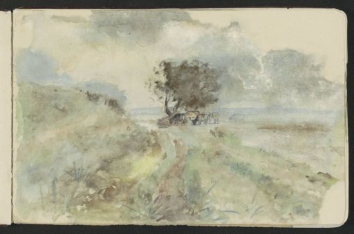 Landscape with a group of cows under a tree