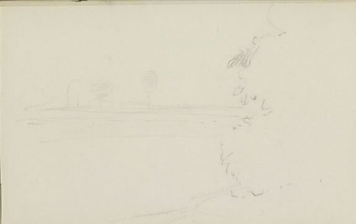 Landscape with trees
