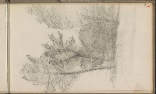 Landscape with Trees