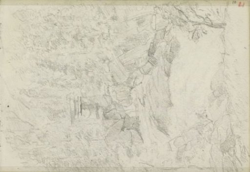 Boulders at the edge of a forest