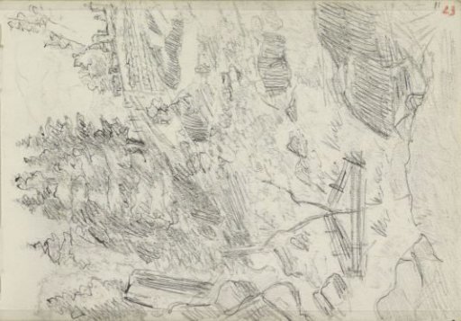 Boulders and trees on a hill