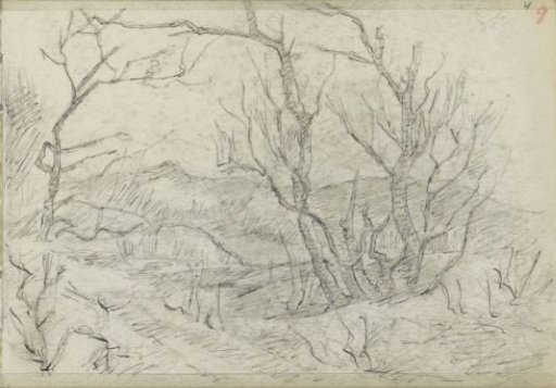 Hilly landscape with a group of trees