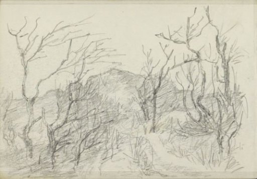 Hilly landscape with trees