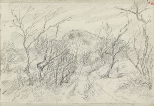 Path in a hilly landscape with trees