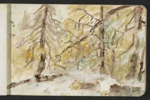 Forest in Pontresina