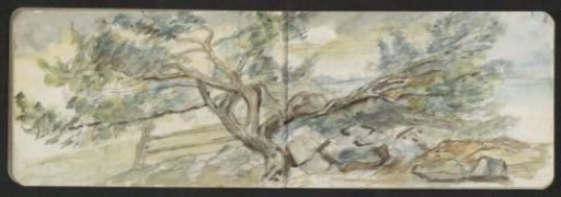 Landscape with a split tree
