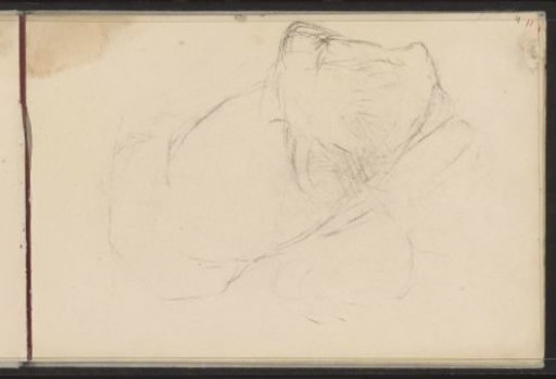 Recumbent cat