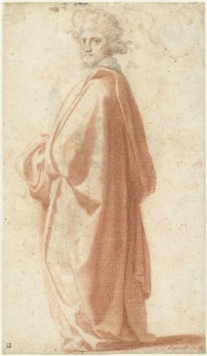 Study of a Model in a Loose Cloak