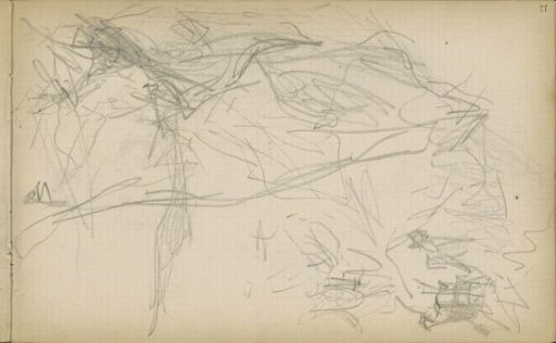 Study