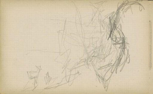 Study sheet, including an animal