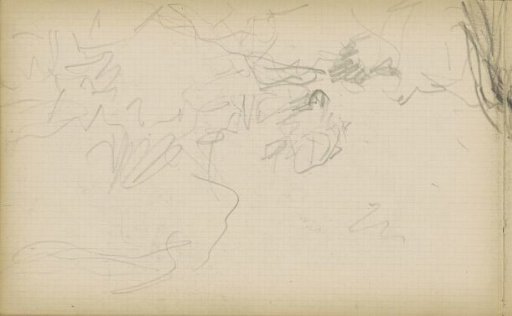 Study