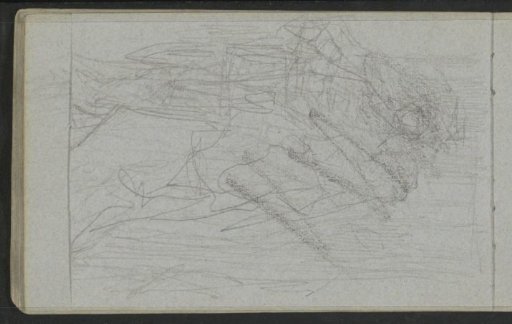 Study