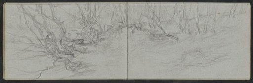 Wooded landscape with a view through to a waterside