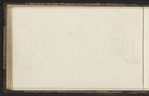 Lower leg and foot