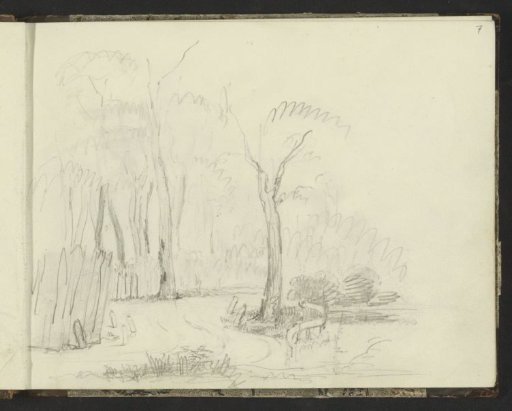 Path in a wooded landscape