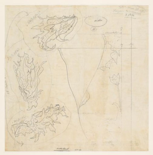 Designs for Iseger earthenware decoration: thistle flowers and half-profiles for a wide and narrow flowerpot