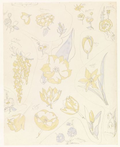 Designs for Ceramic Decoration: Six Tulips and Other Flowers
