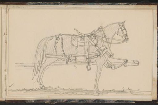 Horse with harness