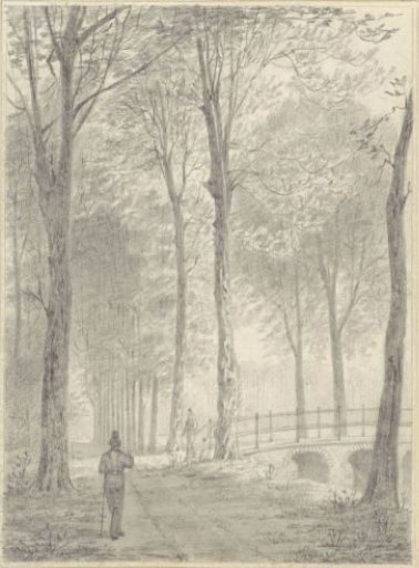 View in the forest of the court at Bergen, near Heiloo