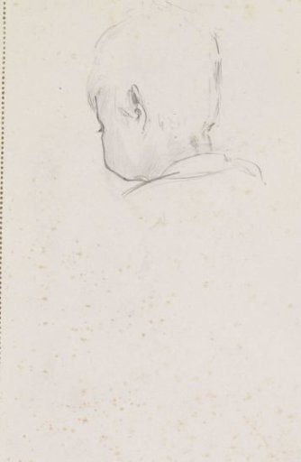 Back of a Child's Head