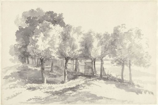 Willow saplings and a fence