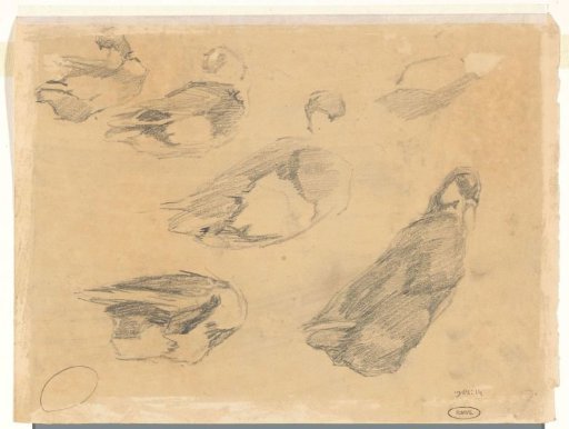 Sketches of Ducks