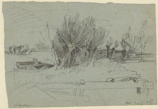 Group of willows by a river