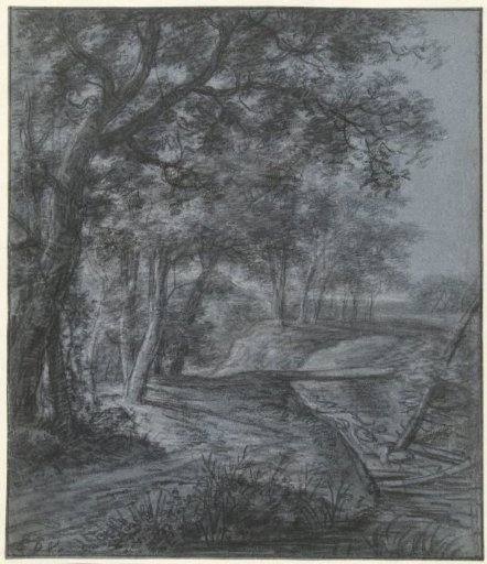 Forest edge with a stream crossed by a plank bridge