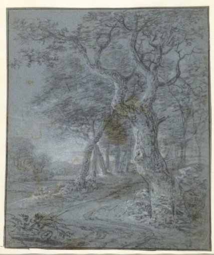 Path with trees in a hilly landscape