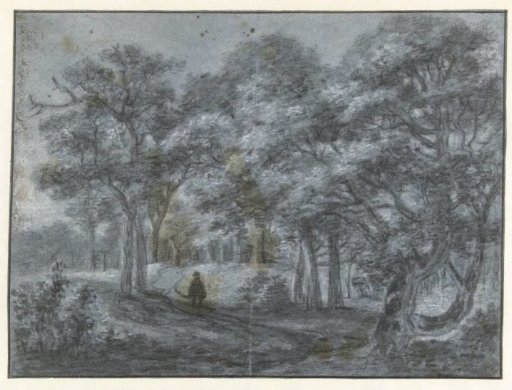 View in the Hague Forest