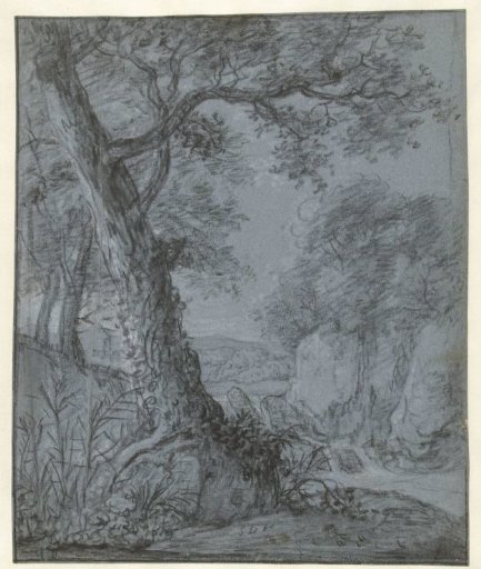 Tree in a hilly landscape with a waterfall and rocks