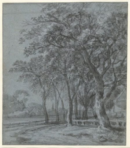 Path with trees along the enclosed yard of a house