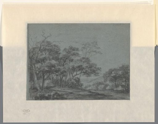 Hilly landscape with trees