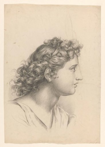 Head of a man with long curly hair, facing right