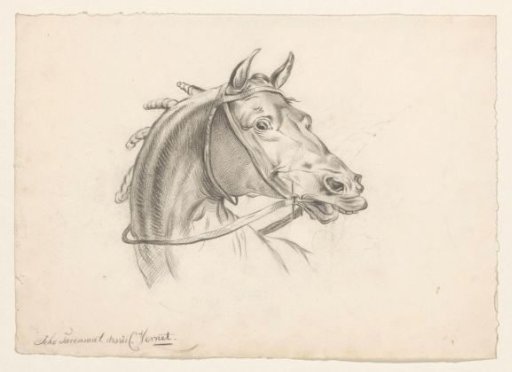 Horse's head, facing right