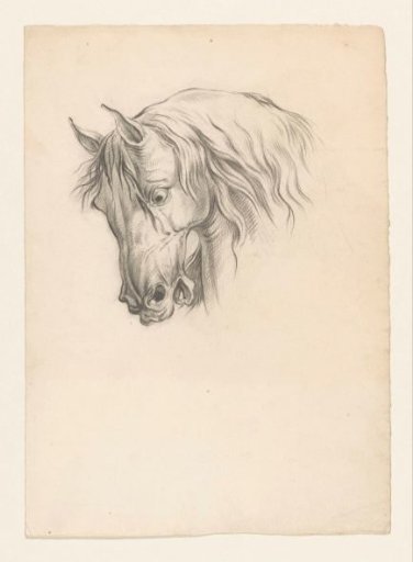 Horse's head, facing left