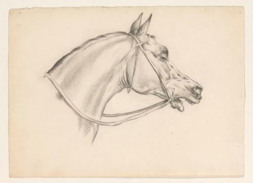 Horse's head, facing right