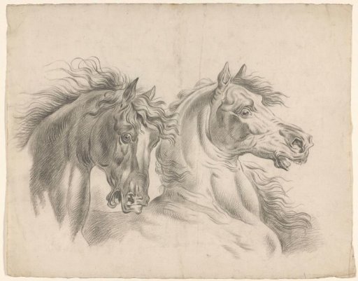Two horse's heads