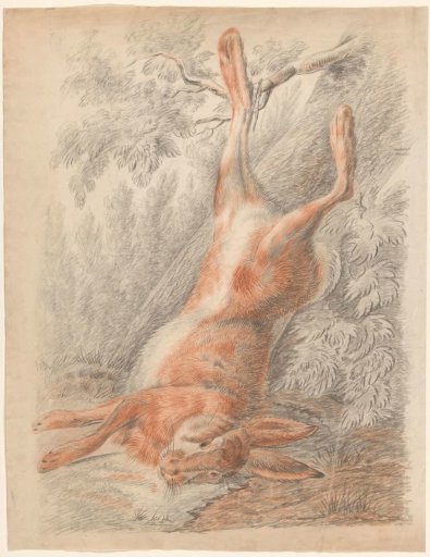 Dead hare, hanging by a foot